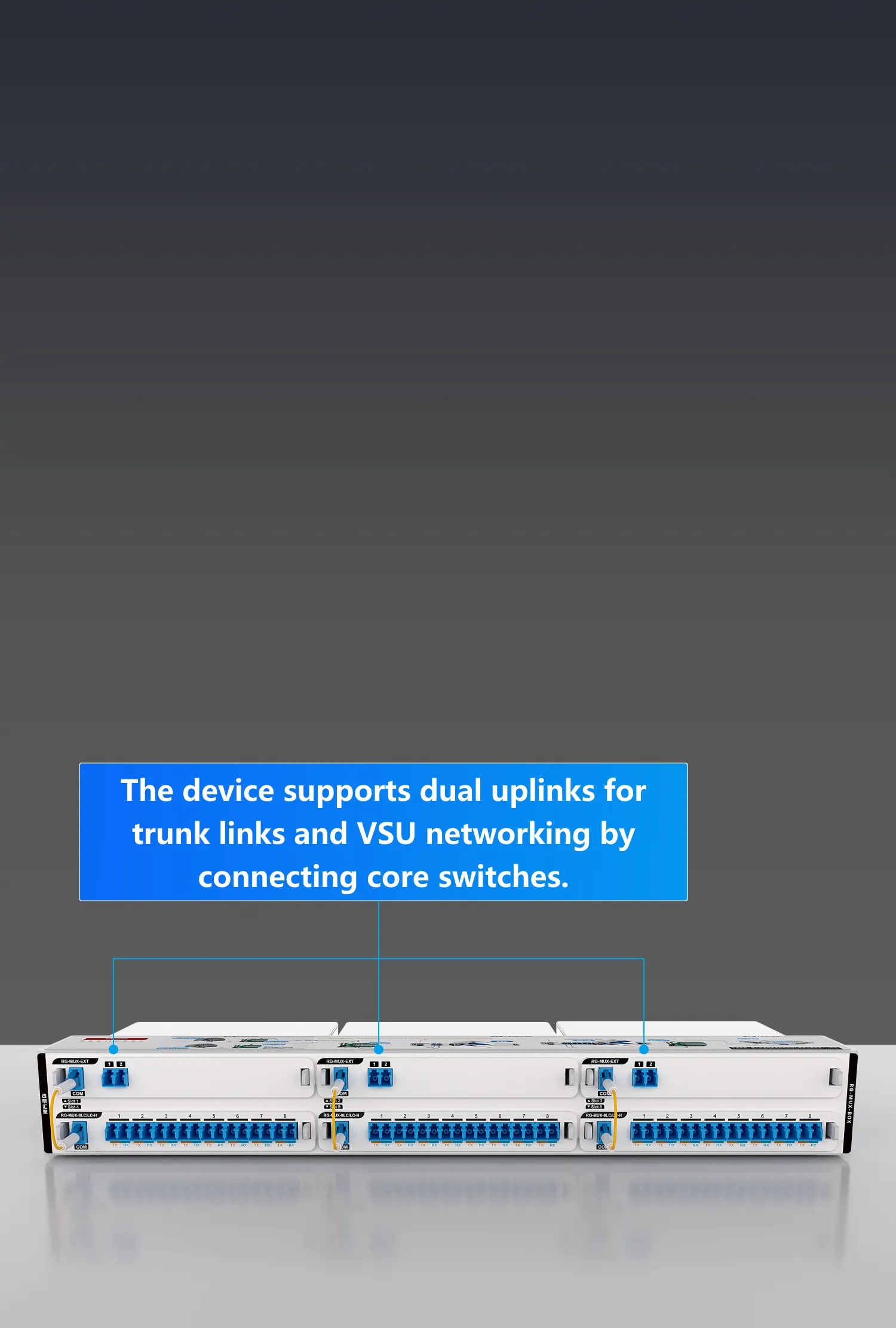 Campus Switches RG-MUX-EXT Transparent Distribution